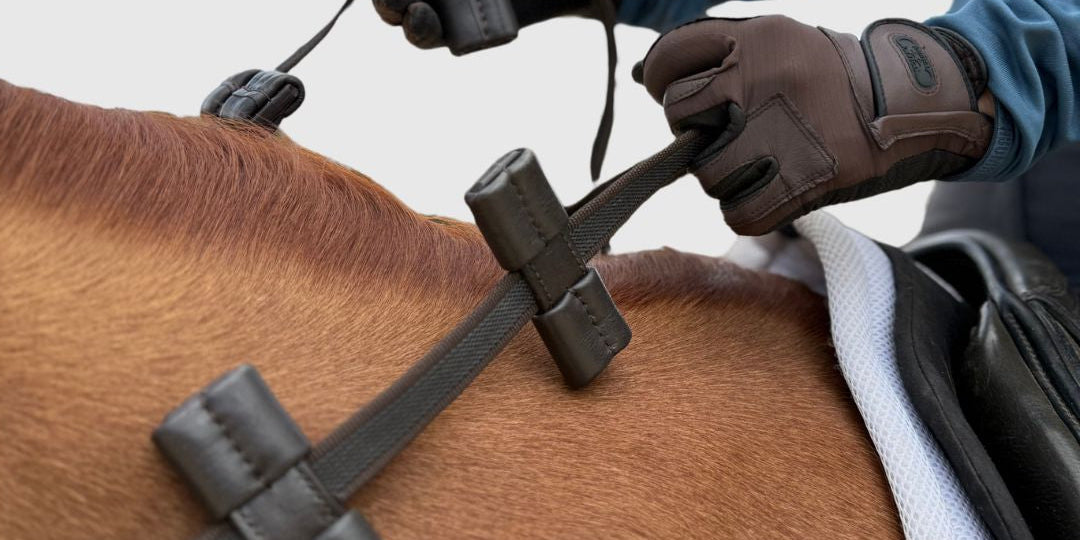 Training Reins