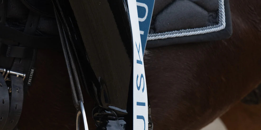Equisk Engaged Rider Resistance Bands