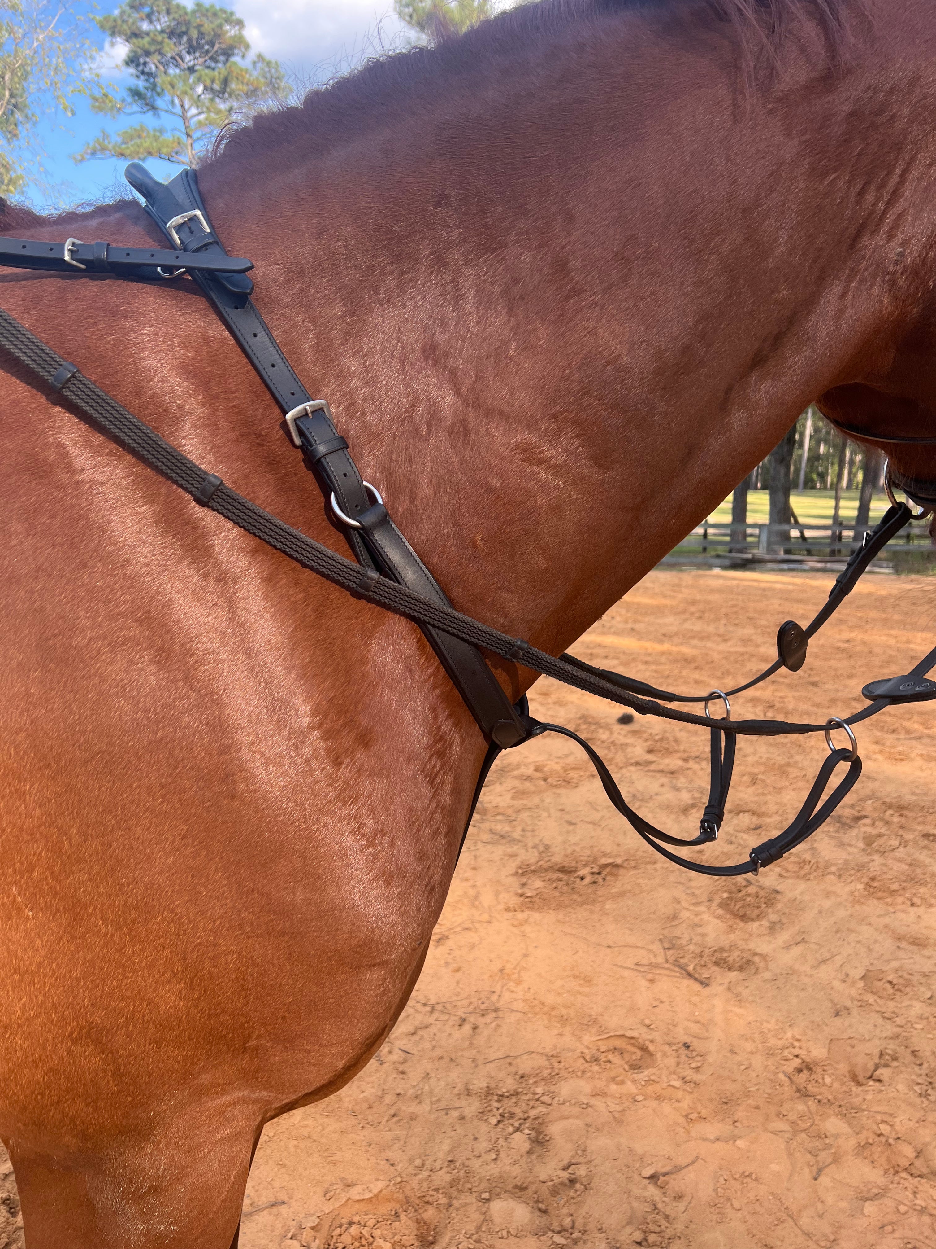 Hobby Horse Bridle With Martingale 