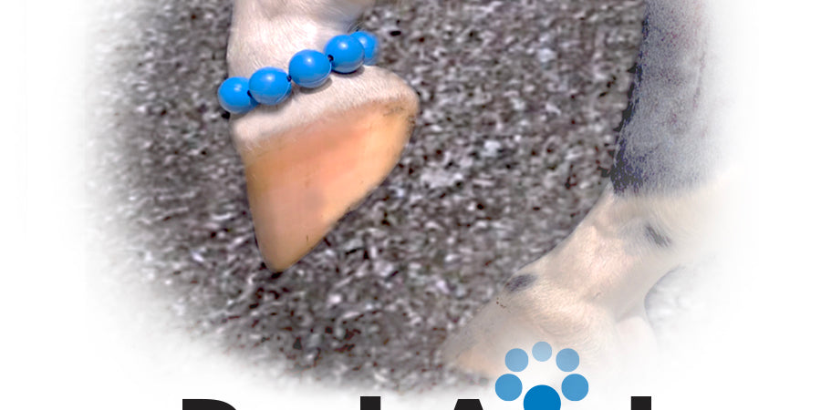 Bal-Aid Equine Balancing Aid