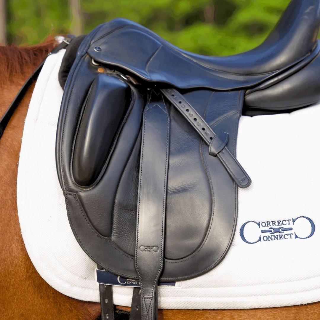 Dressage Stirrup Leathers: What Makes Them Different?