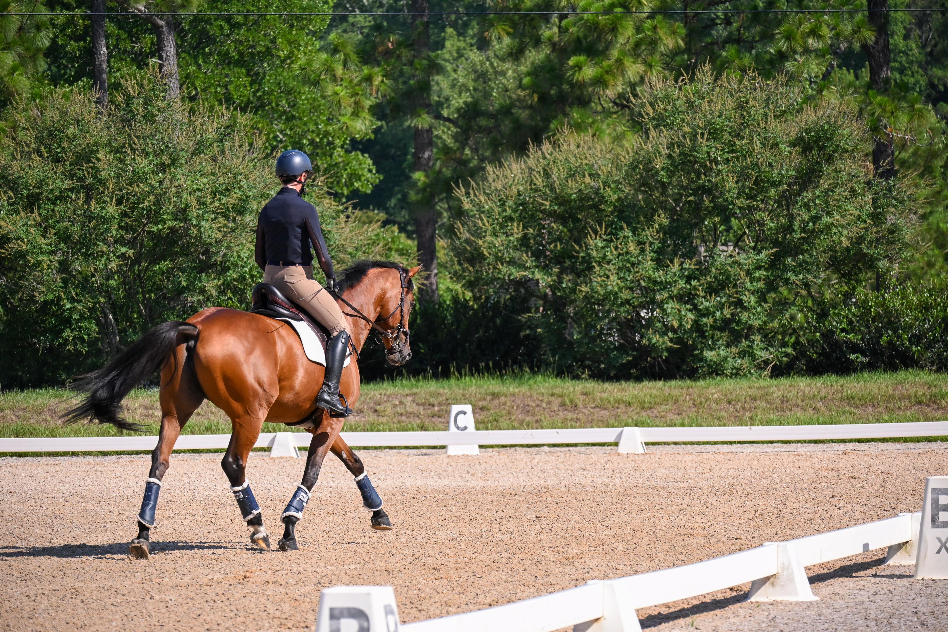 Ring Exercises to Improve Horse Balance