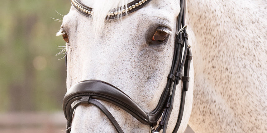 Bridles