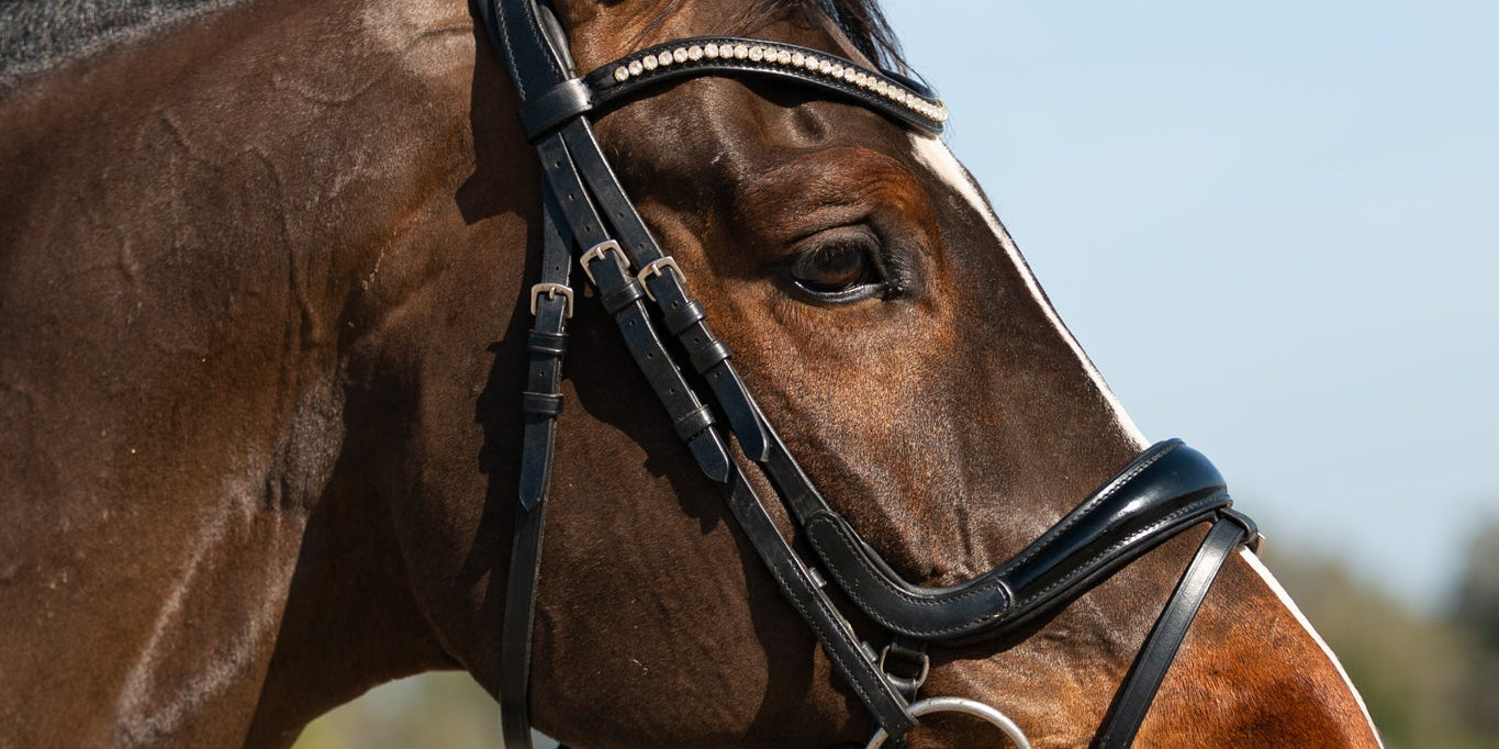 Browbands