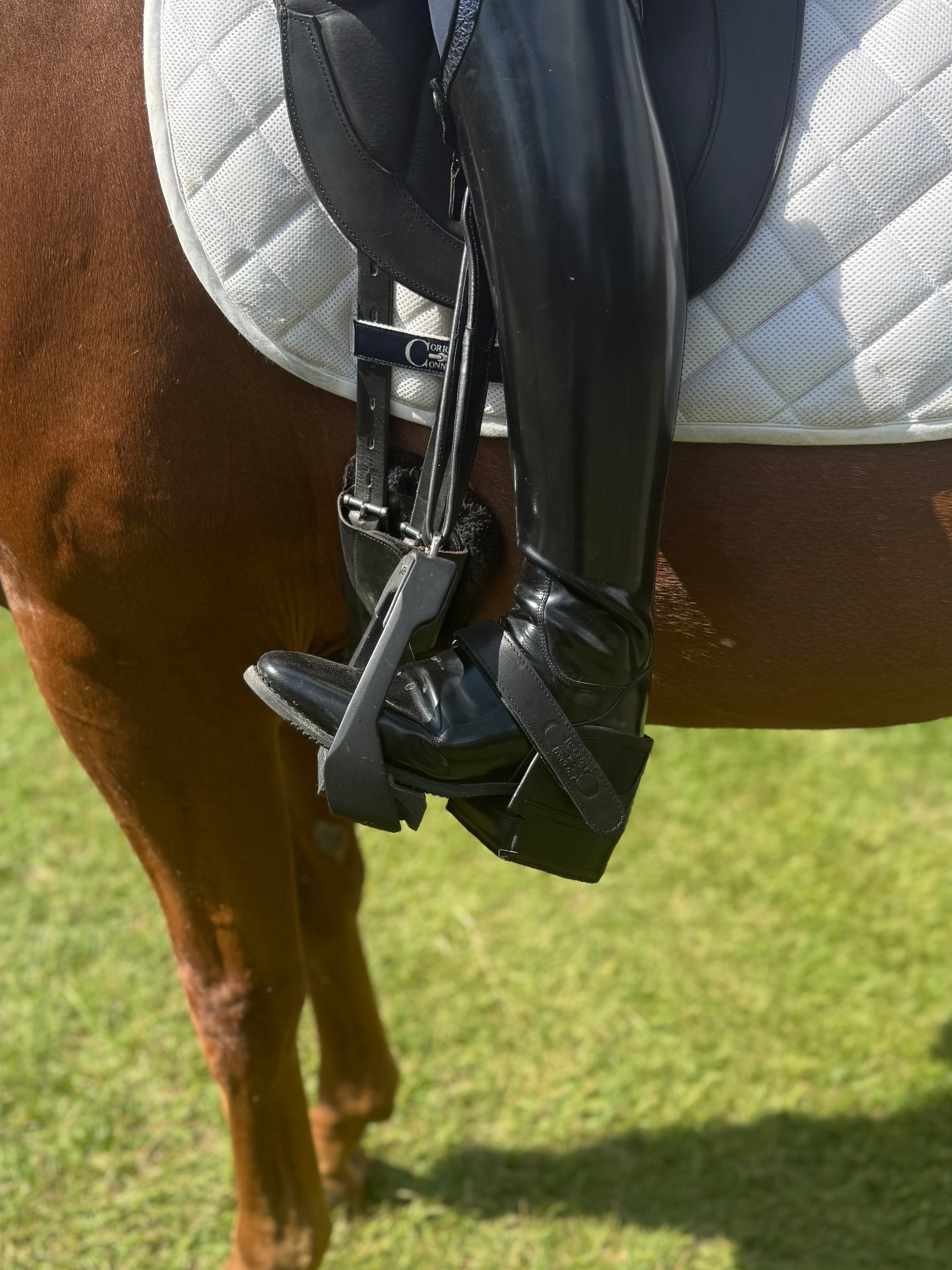 Equisole EXternal-Weighted Training Aid for Equestrians