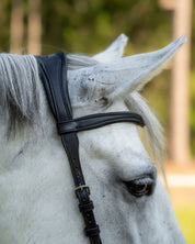 Evolve Comfort Bridle System