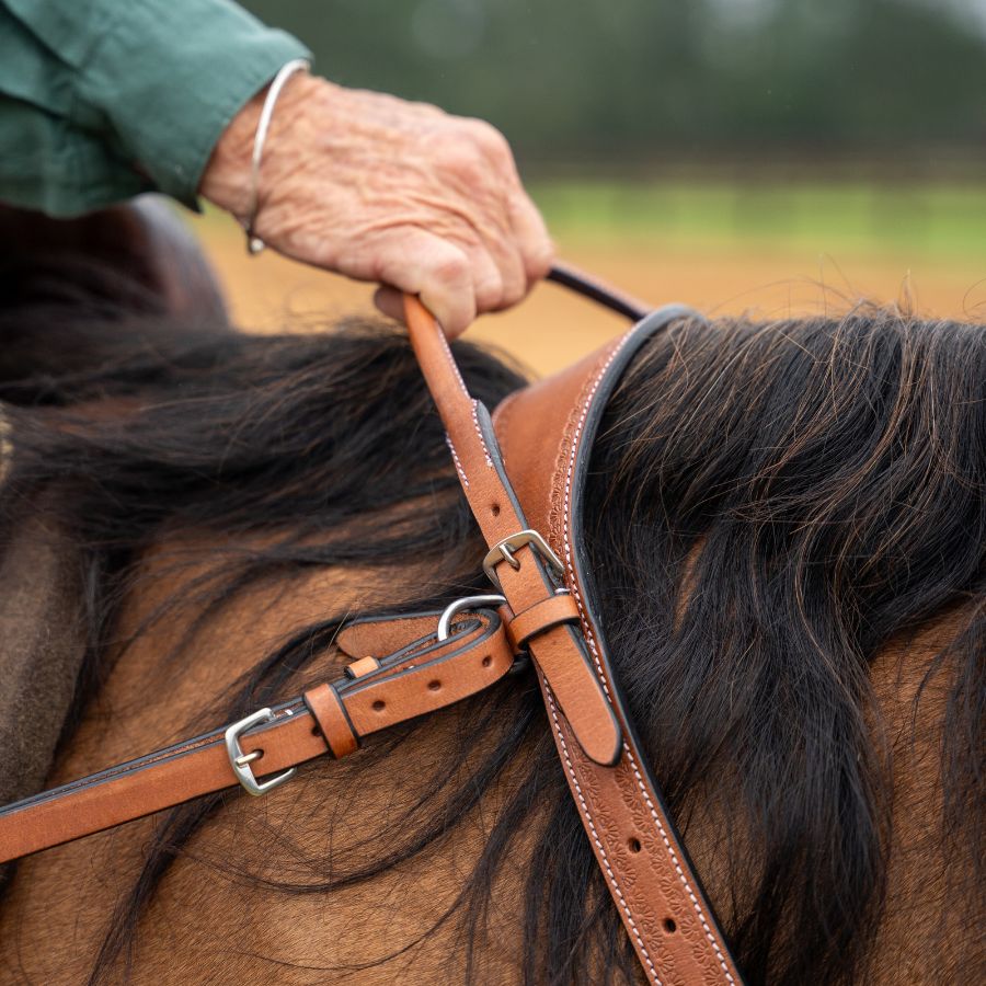 Western Double Neck Strap
