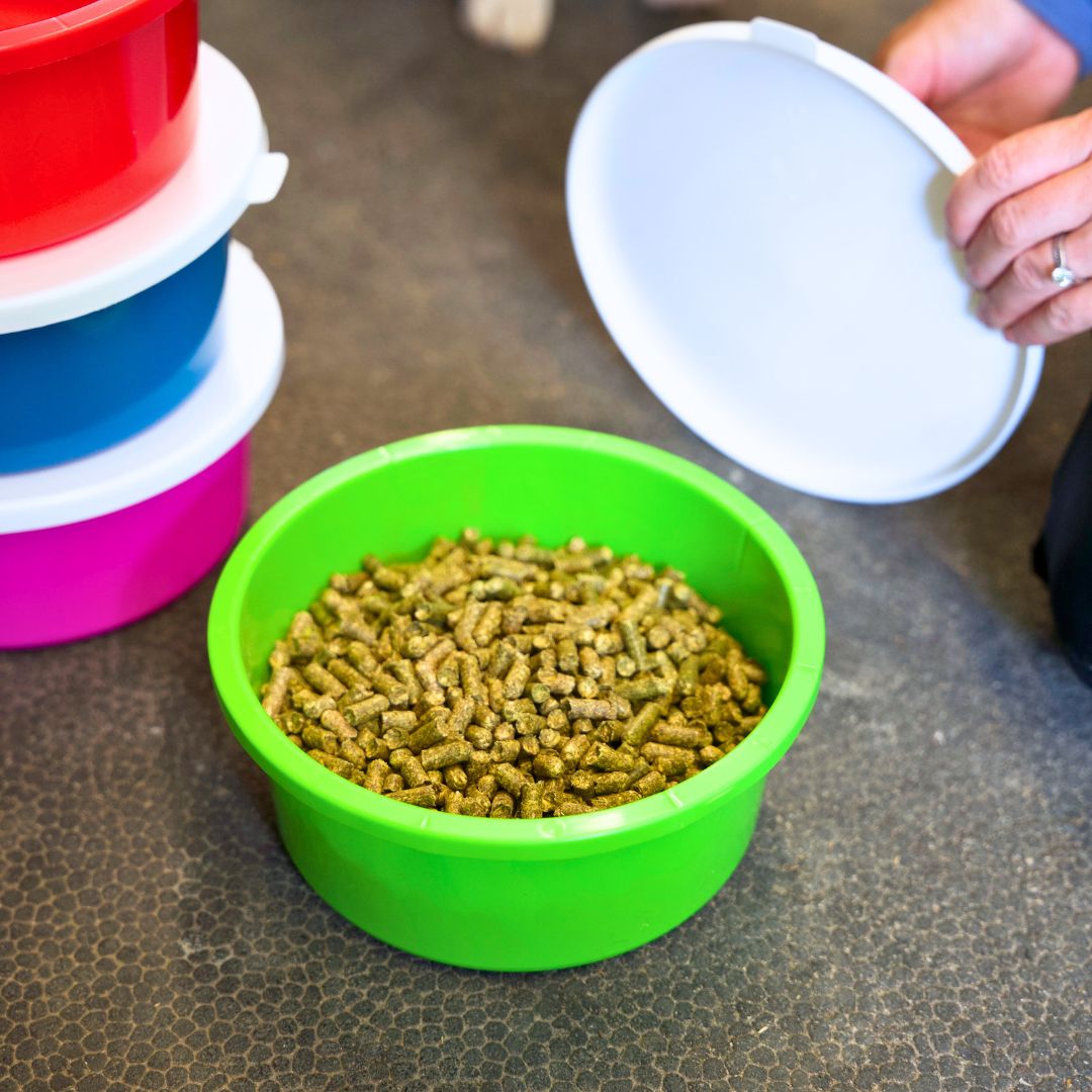 Mini 1 Gallon Small Horse Feed Storage, Treat, & Supplement Bowl with Snap-Lid