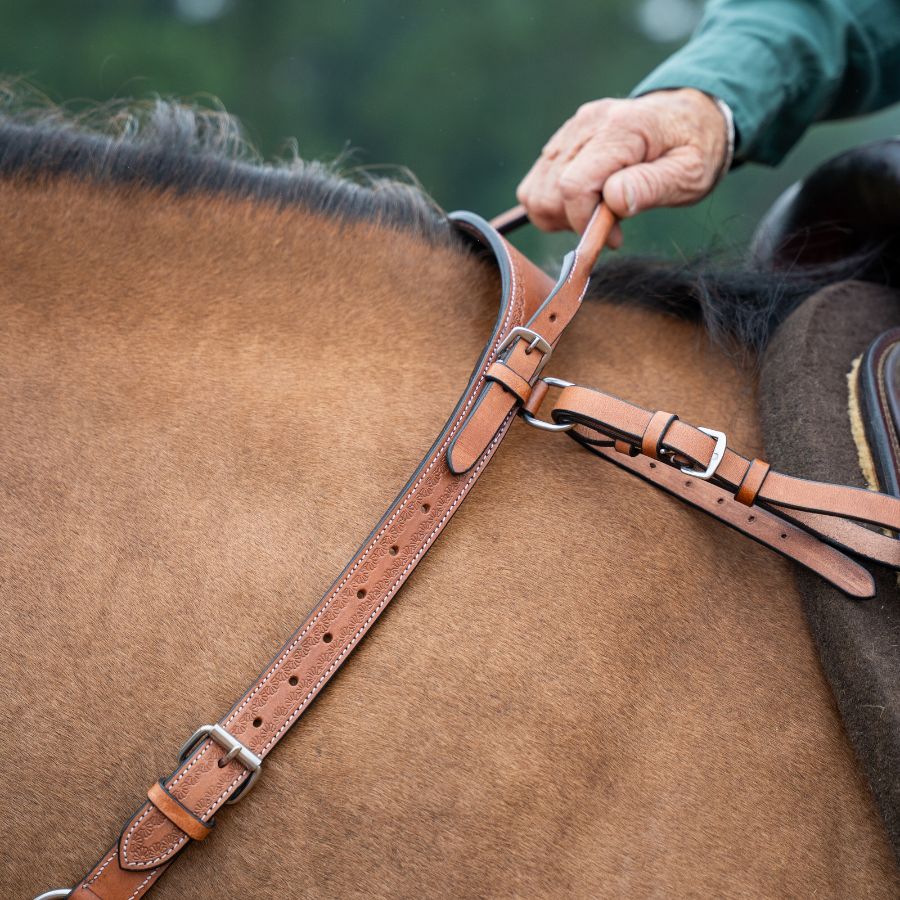 Western Double Neck Strap