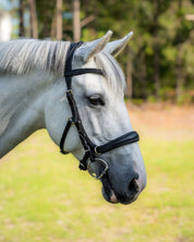 Evolve Comfort Bridle System
