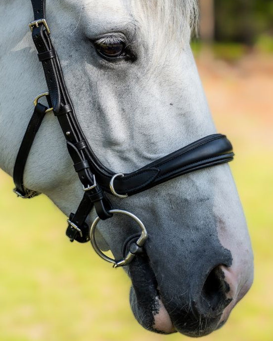 Evolve Comfort Bridle System