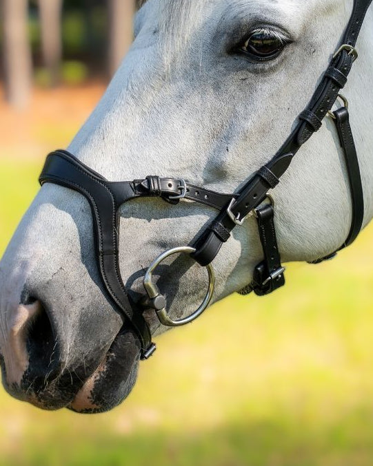 Evolve Comfort Bridle System
