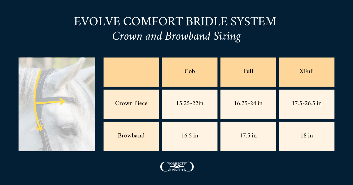 Evolve Comfort Bridle System
