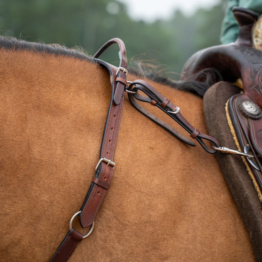 Western Double Neck Strap