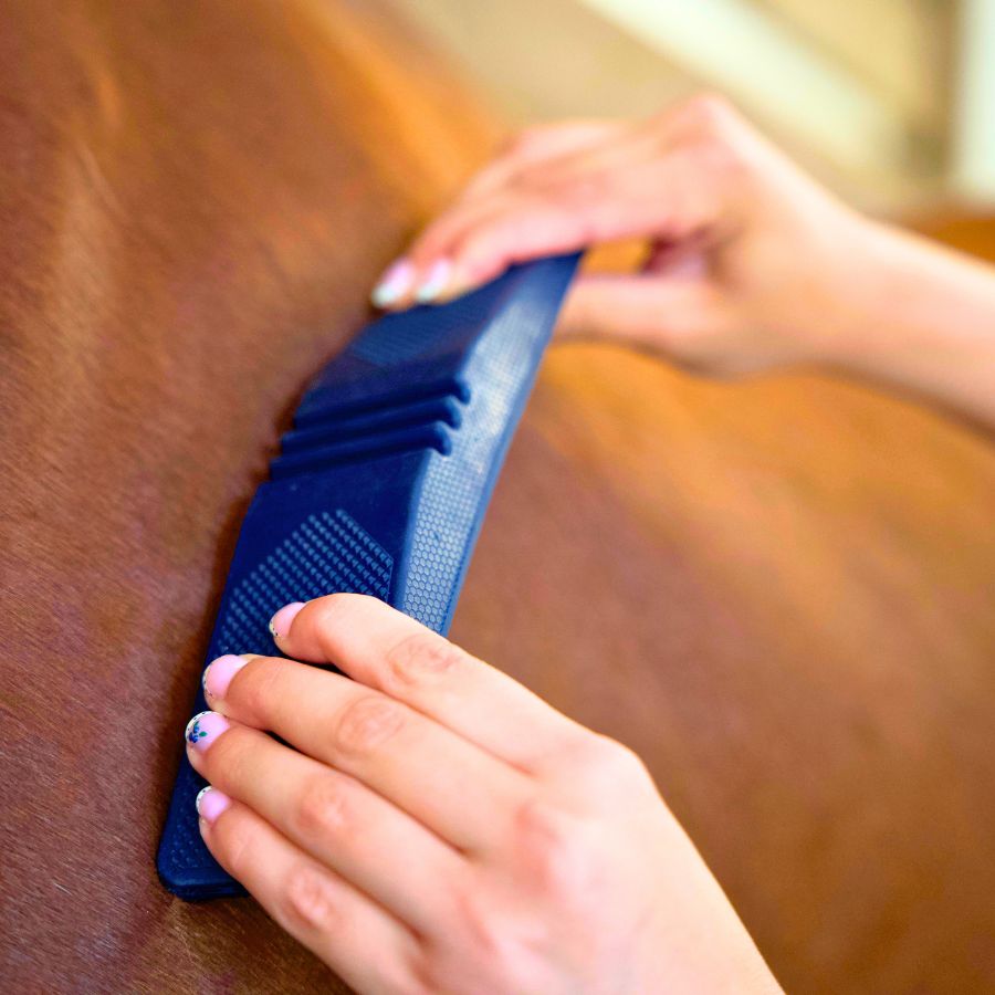 Bow Groomer De-shedding Tool