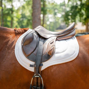 Stable Ride Mono-Stirrup Leather with T-Bars