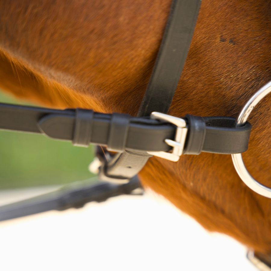 Ergo Grip Reins