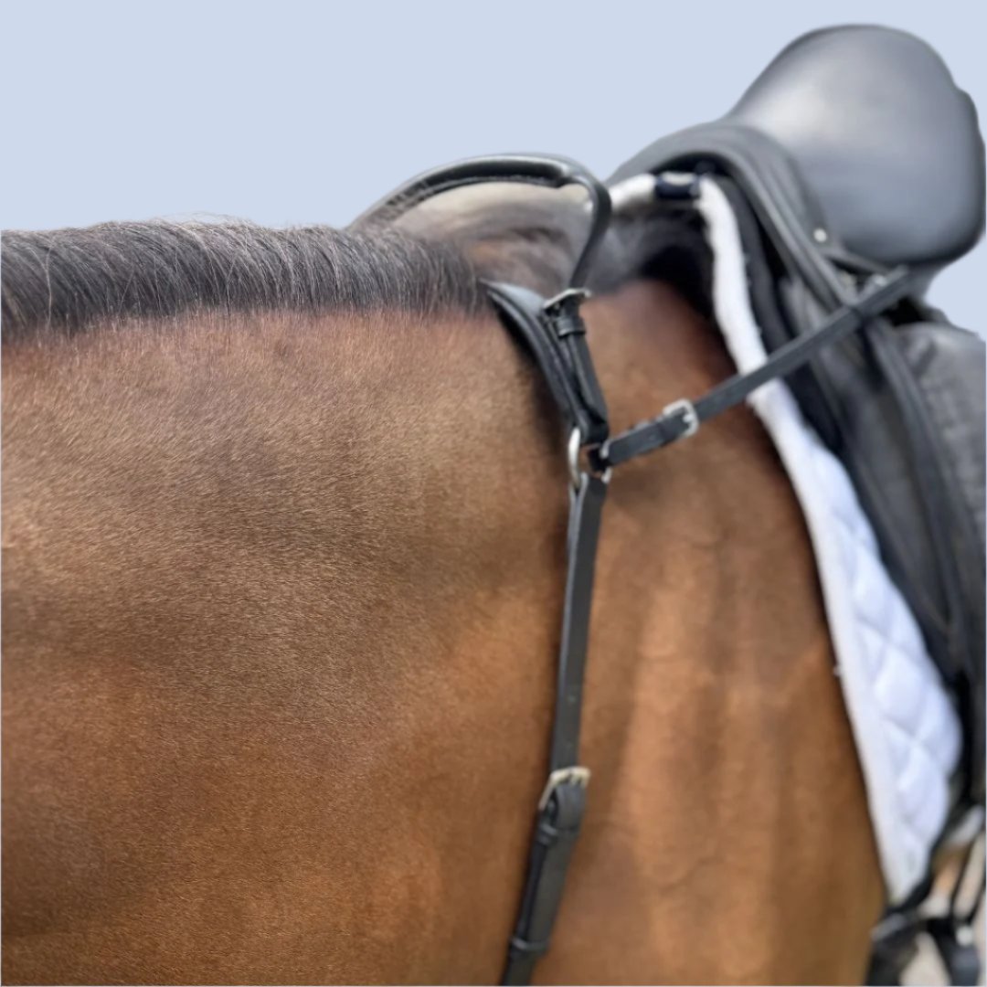 3-Point Breastplate with Double Neck Strap