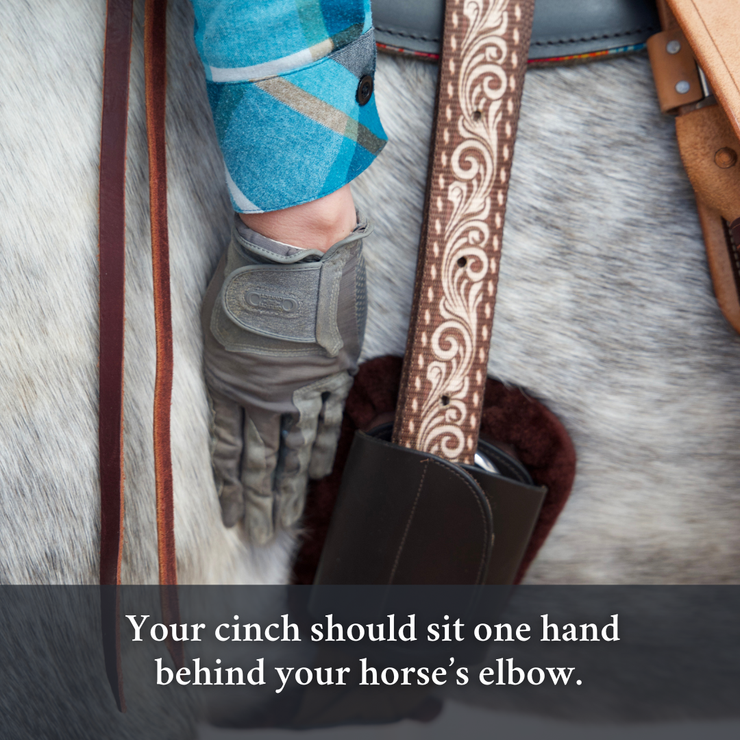 Pressure Relief Western Cinch with Faux Fleece Pads