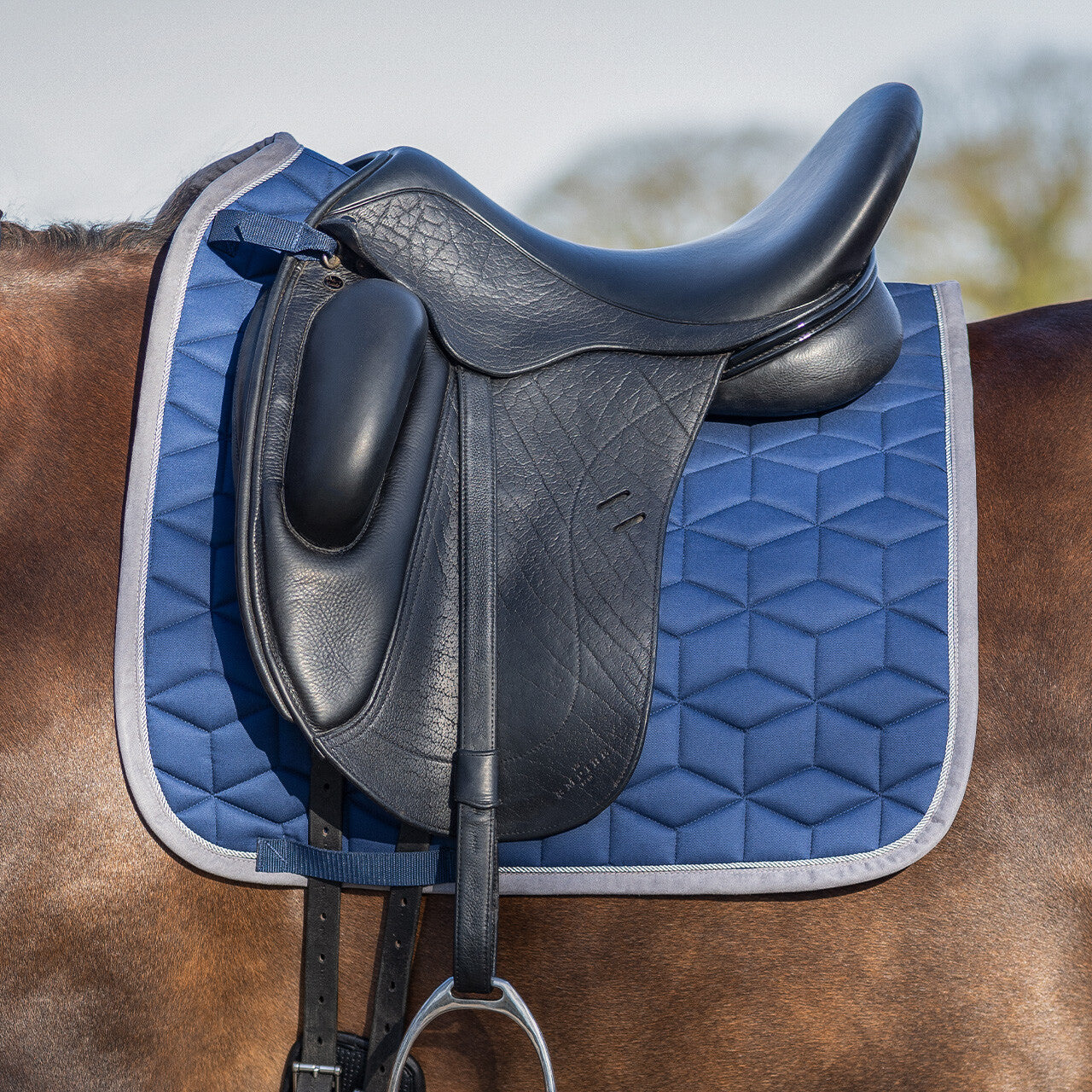 Avyra Dresage Saddle Pad by QHP