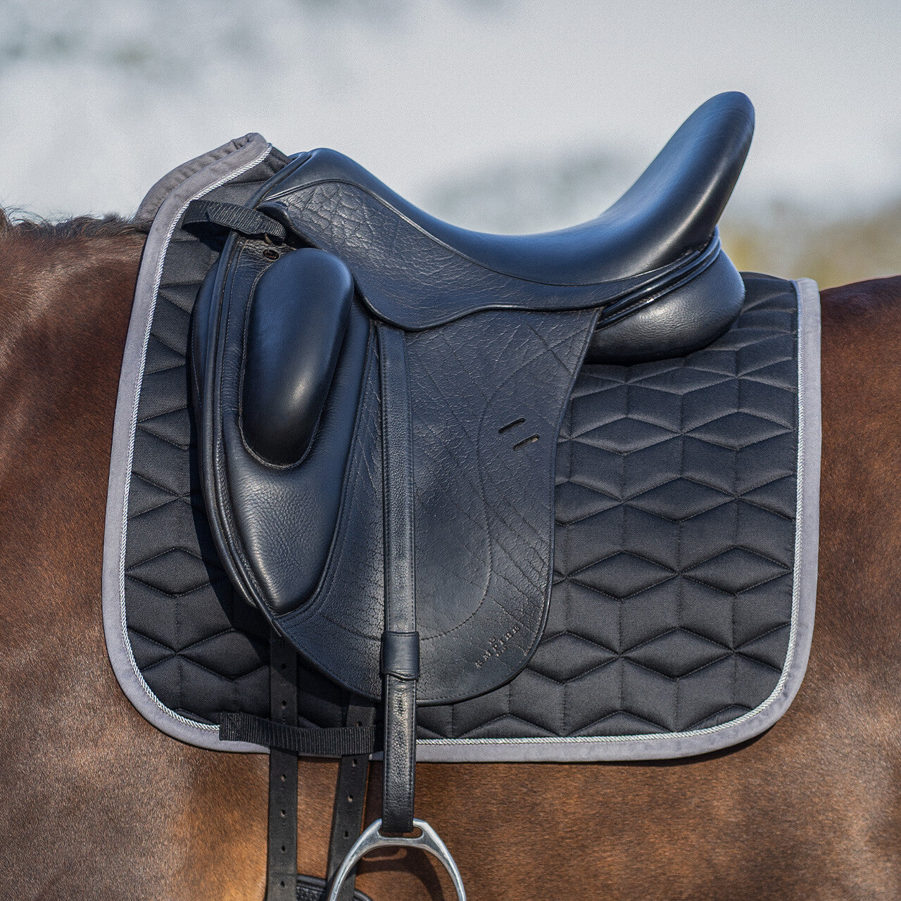 Avyra Dresage Saddle Pad by QHP