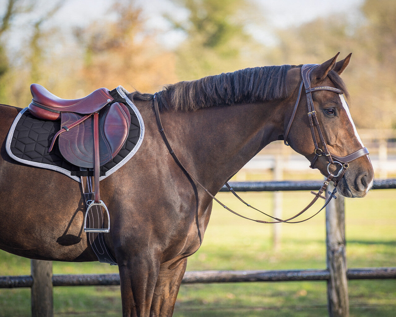 Avyra All Purpose Saddle Pad by QHP