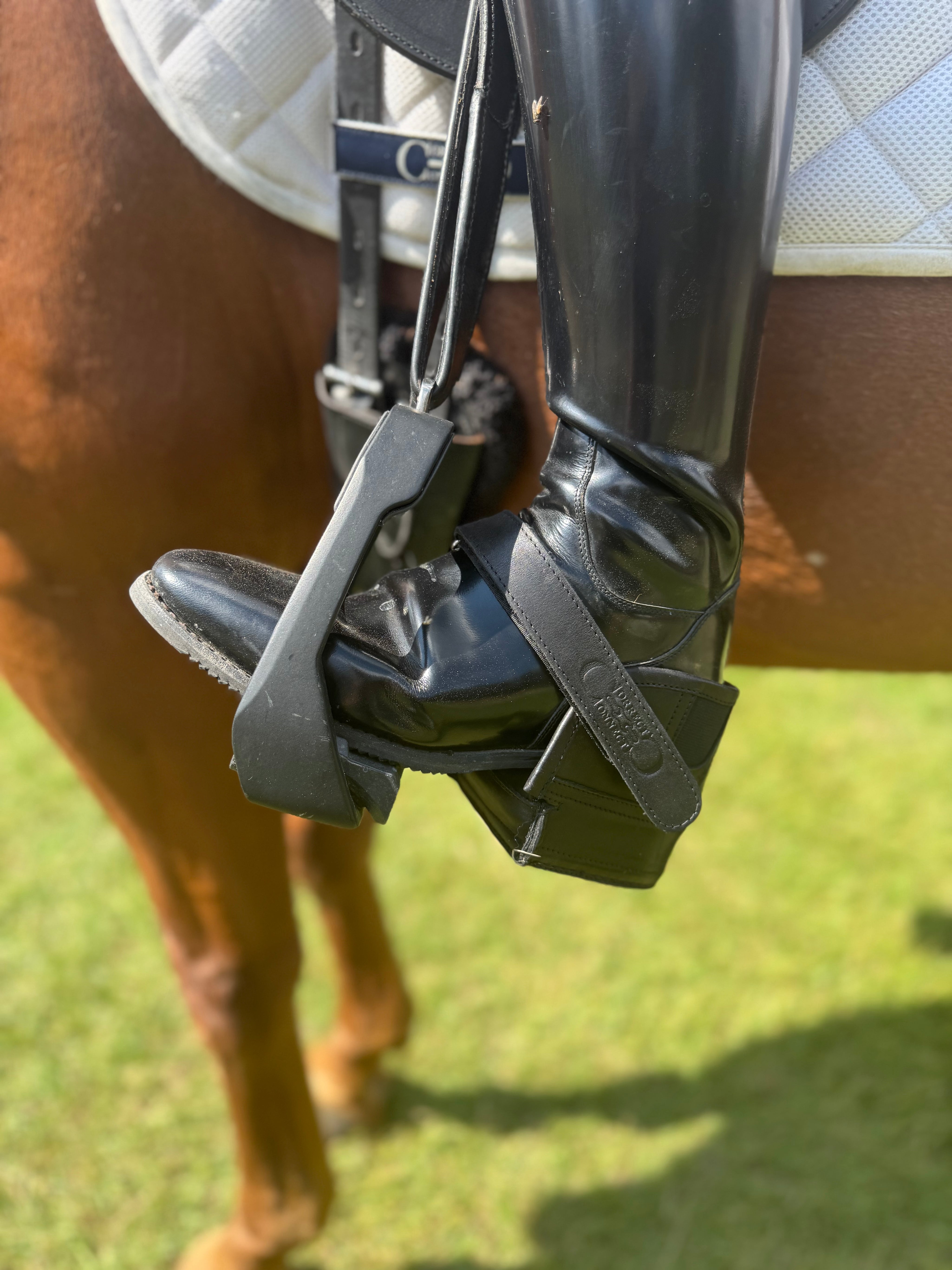 Equisole EXternal-Weighted Training Aid for Equestrians New Product Alert