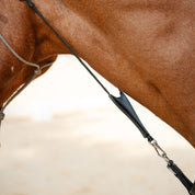 Therapeutic Equine Stretching System