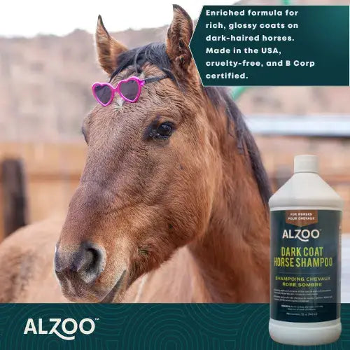 ALZOO HORSE SHAMPOO FOR DARK COATS, 320Z