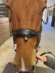 Hidden Flash!  Pro-fit Comfortable Bridle with Patent Noseband and Crystal Browband