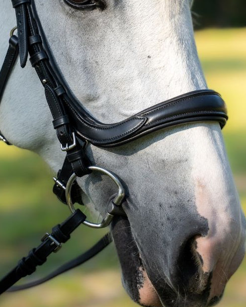 Versa Noseband