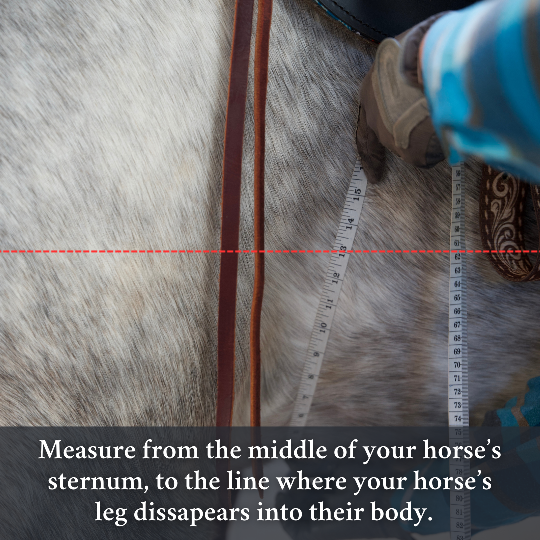 Pressure Relief Western Cinch with Faux Fleece Pads