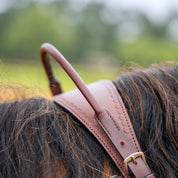 Western Double Neck Strap