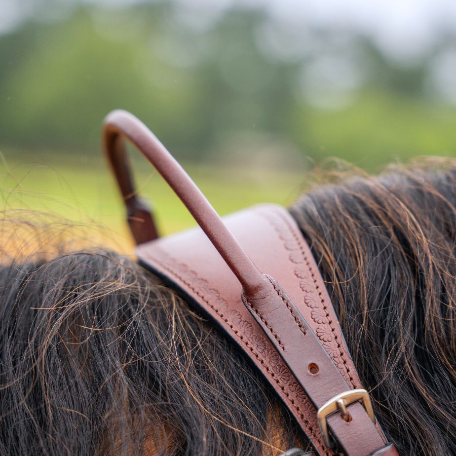 Western Double Neck Strap