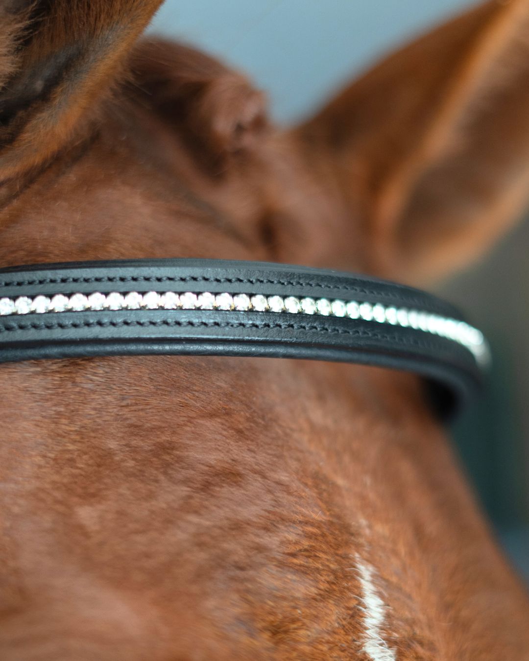 AUSVERKAUF Versteckter Blitz! Bequemes Pro-Fit-Zaumzeug in Havannabraun oder Schwarz mit Flash-Nasenriemen und Drahtreifen-Stirnriemen