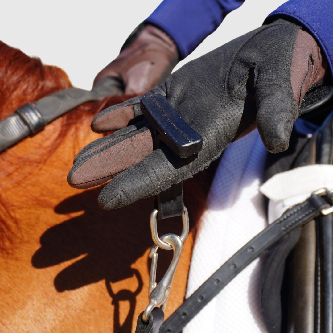 Cuirasse d'entraînement 3 en 1 - La meilleure aide à l'entraînement pour aider à l'équilibre et à la connexion