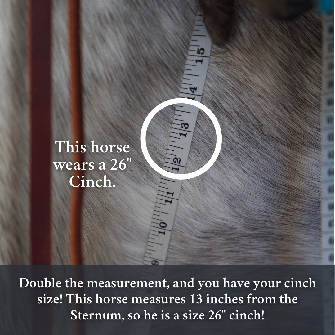 Pressure Relief Western Cinch with Faux Fleece Pads