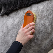 Royal Wooden Grooming Set