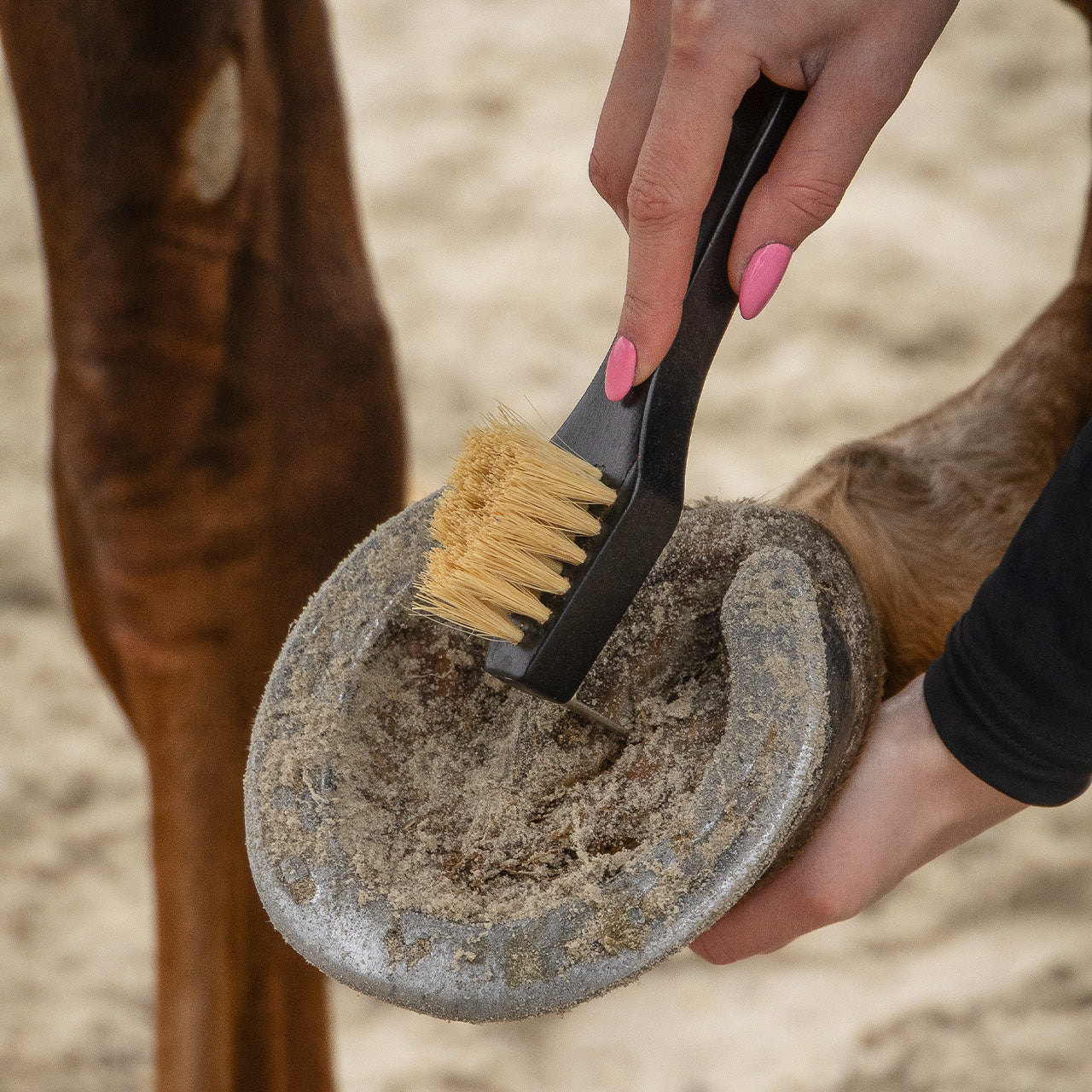 Royal Wooden Grooming Set