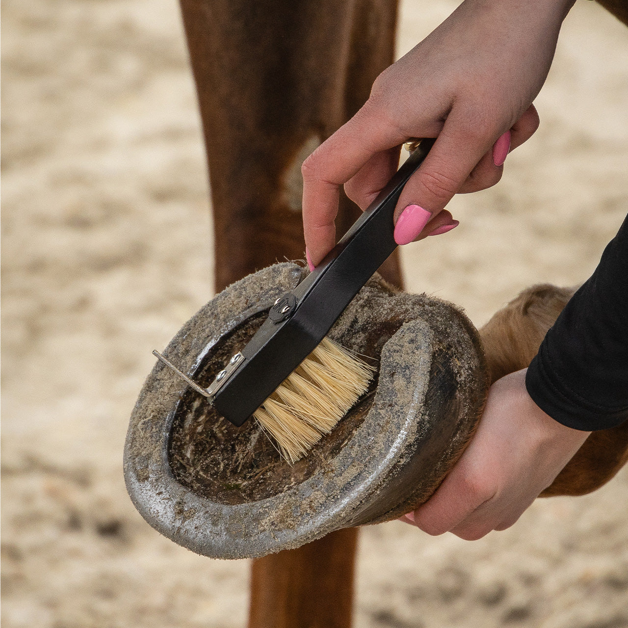 Royal Wooden Grooming Set