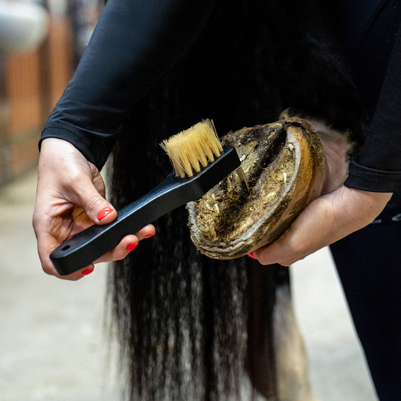 Royal Wooden Grooming Set