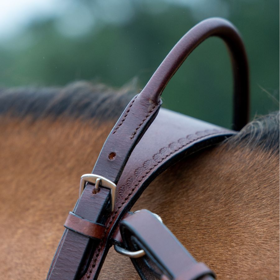 Western Double Neck Strap