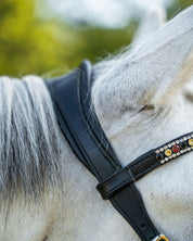 Evolve Comfort Bridle System