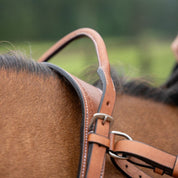 Western Double Neck Strap