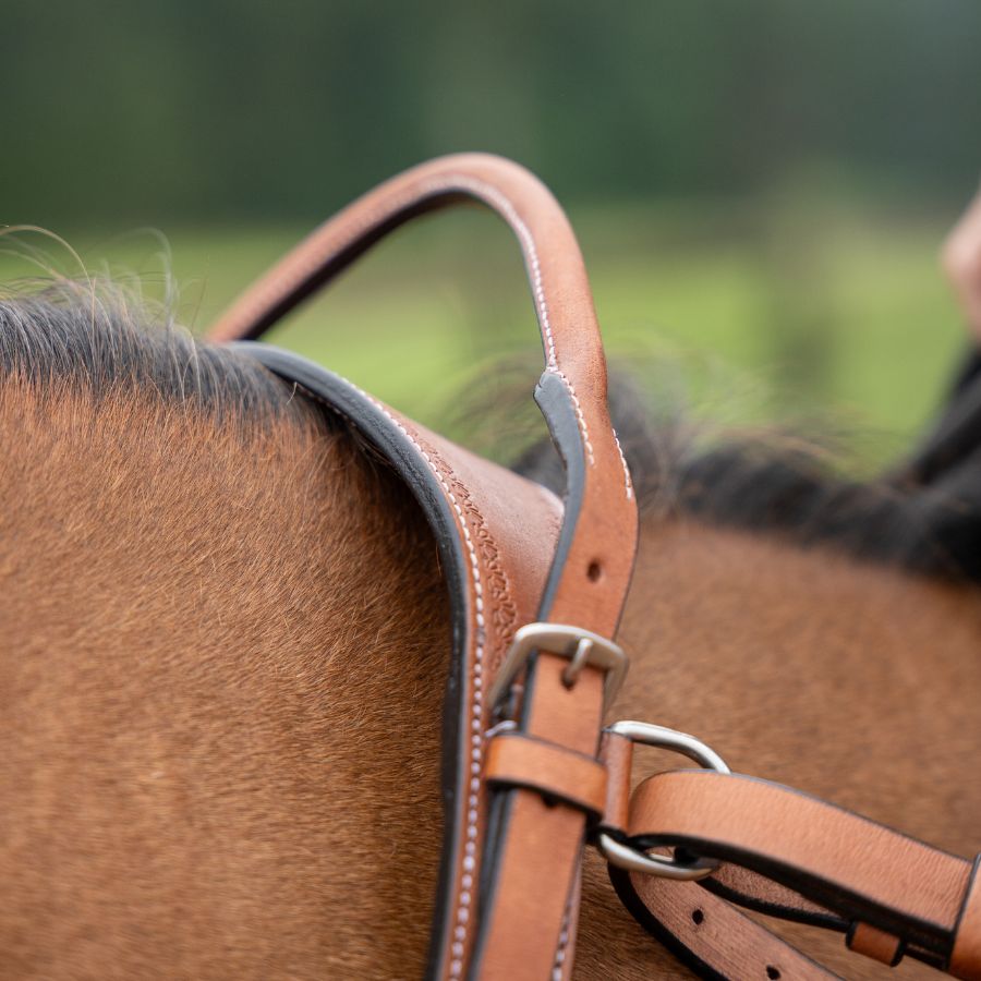 Western Double Neck Strap
