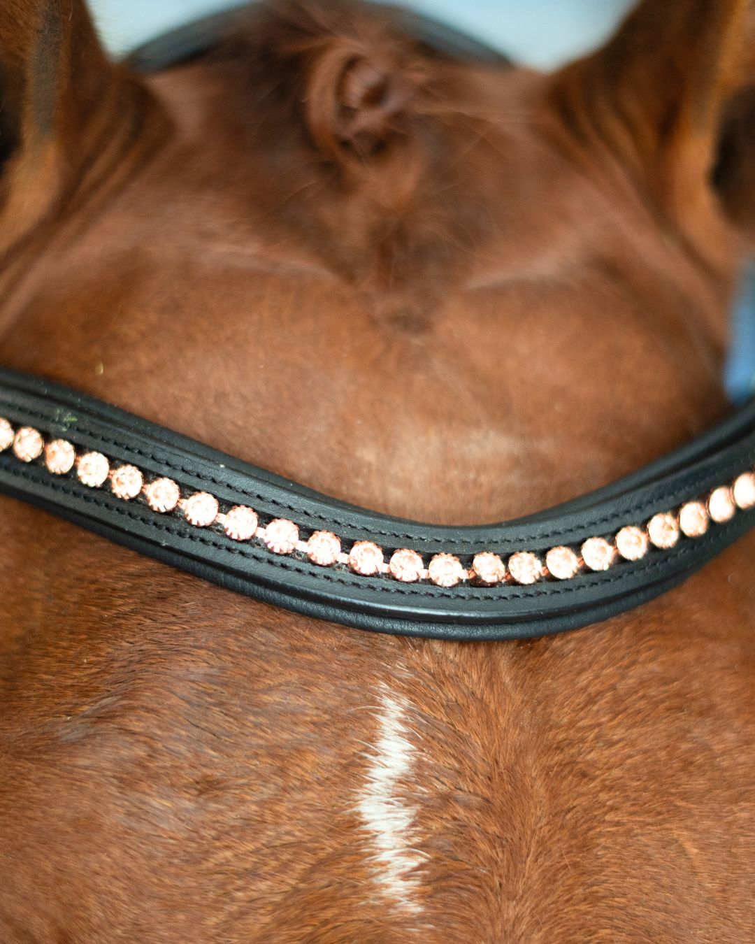 Double Bridle with Crystal Browband, Gold Padding and Reins
