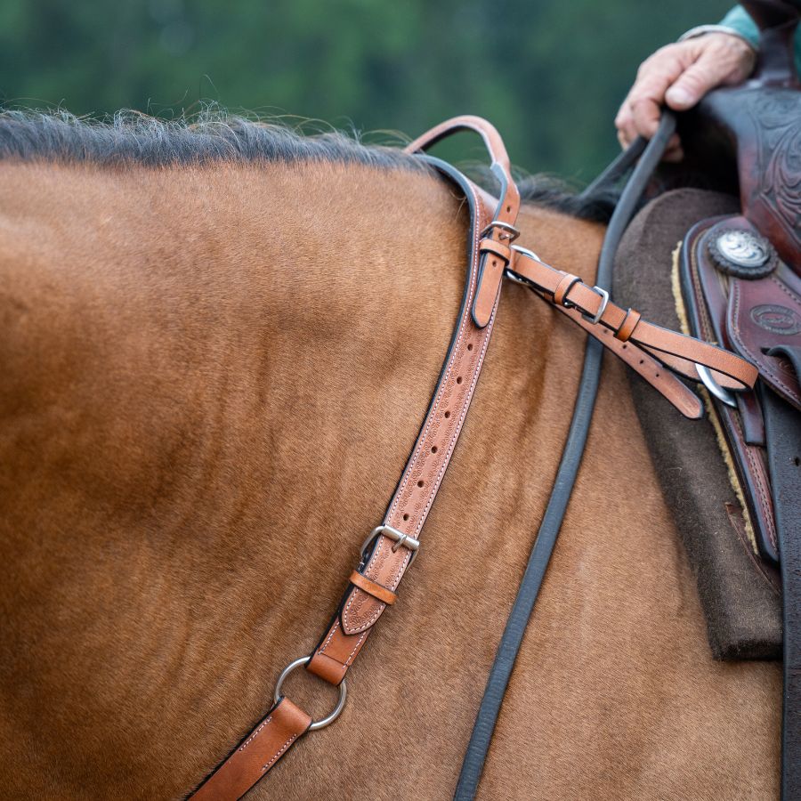 Western Double Neck Strap