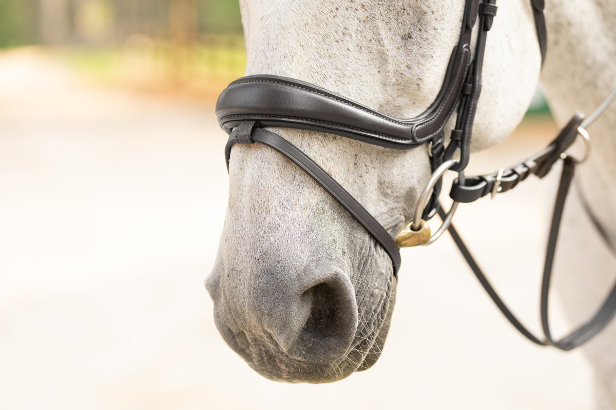 Hidden Flash!  Pro-Fit Comfortable Bridle in Havana Brown or Black with Flash Noseband and Clincher Browband