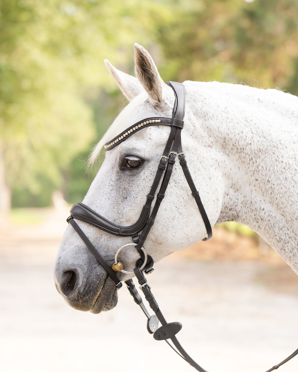 Hidden Flash!  Pro-Fit Comfortable Bridle in Havana Brown or Black with Flash Noseband and Clincher Browband