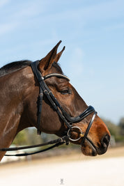 Hidden Flash!  Pro-fit Comfortable Bridle with Patent Noseband and Crystal Browband